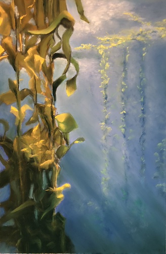 A Stroll Through the Kelp Forest